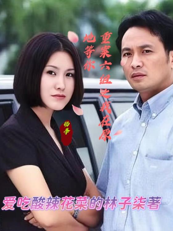 重案六组之我在原地等你